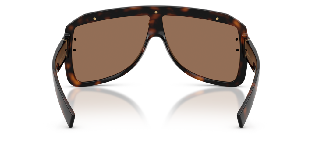 Dolce & Gabbana DG6205 502/73