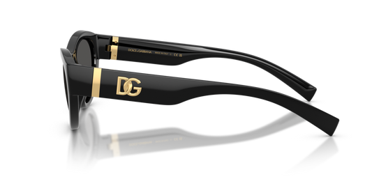 Dolce & Gabbana DG6207 501/87