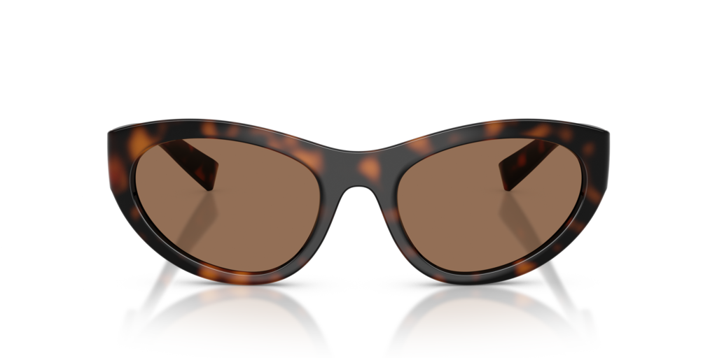 Dolce & Gabbana DG6207 502/73