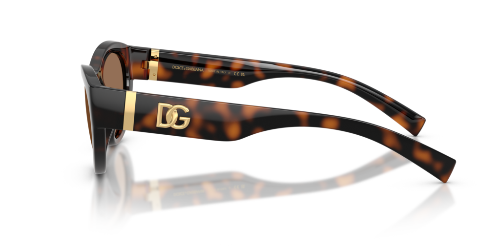 Dolce & Gabbana DG6207 502/73