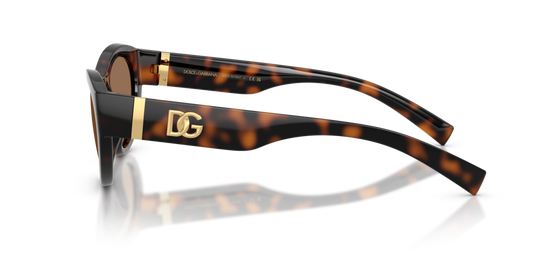 Dolce & Gabbana DG6207 502/73