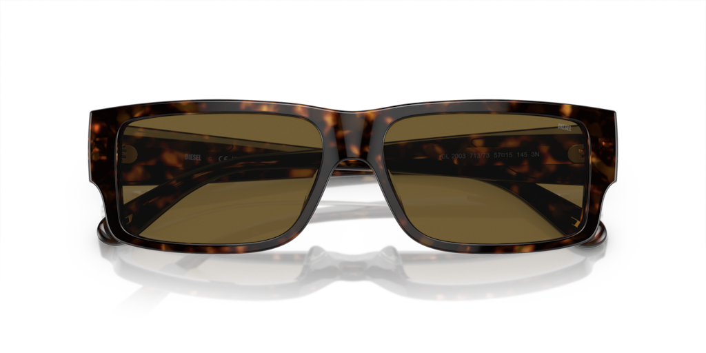 Diesel DL2003 713/73