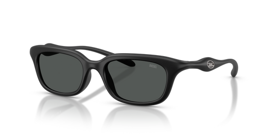 Diesel DL3013U