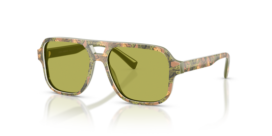 Dolce & Gabbana Kids DX4003
