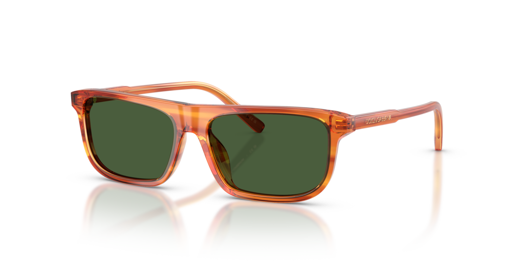 Dolce & Gabbana Kids DX4009