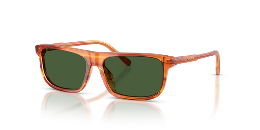 Dolce & Gabbana Kids DX4009