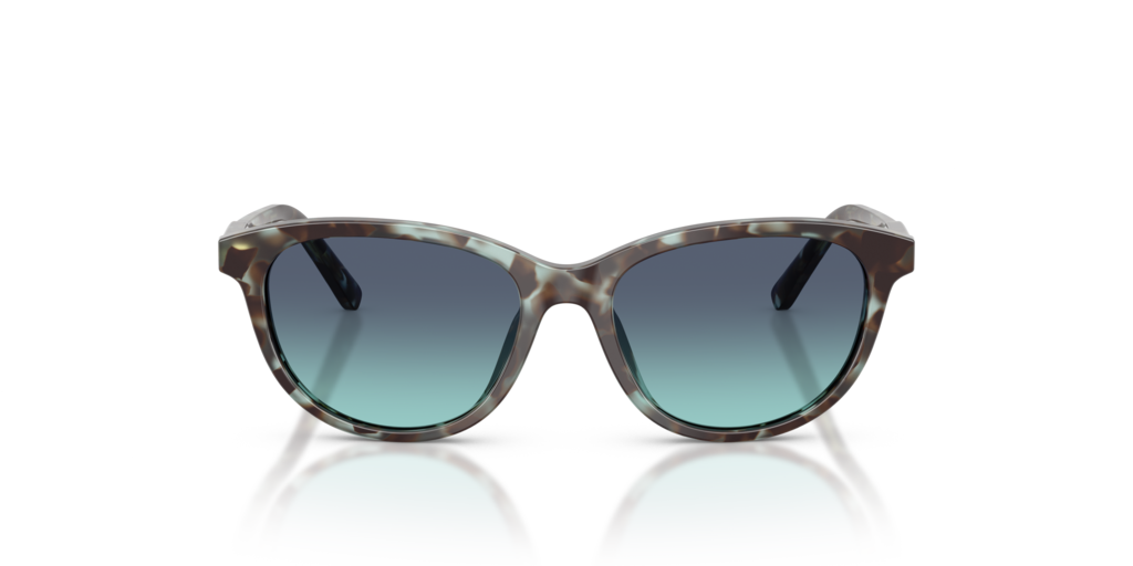 Dolce & Gabbana Kids DX4010 34434S