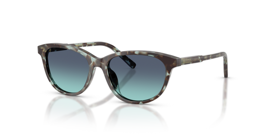Dolce & Gabbana Kids DX4010