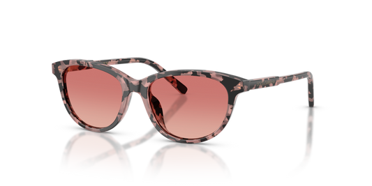 Dolce & Gabbana Kids DX4010