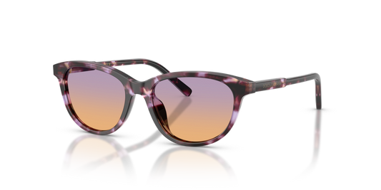 Dolce & Gabbana Kids DX4010