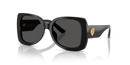 Dolce & Gabbana Kids DX4012