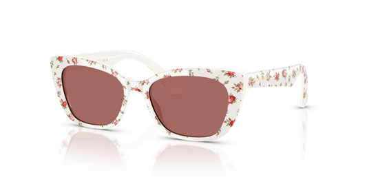 Dolce & Gabbana Kids DX4427