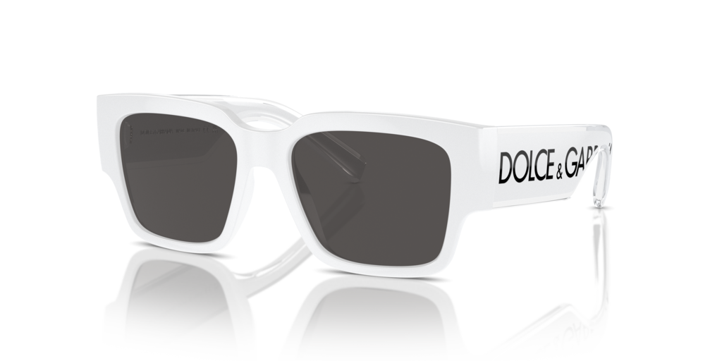 DX6004