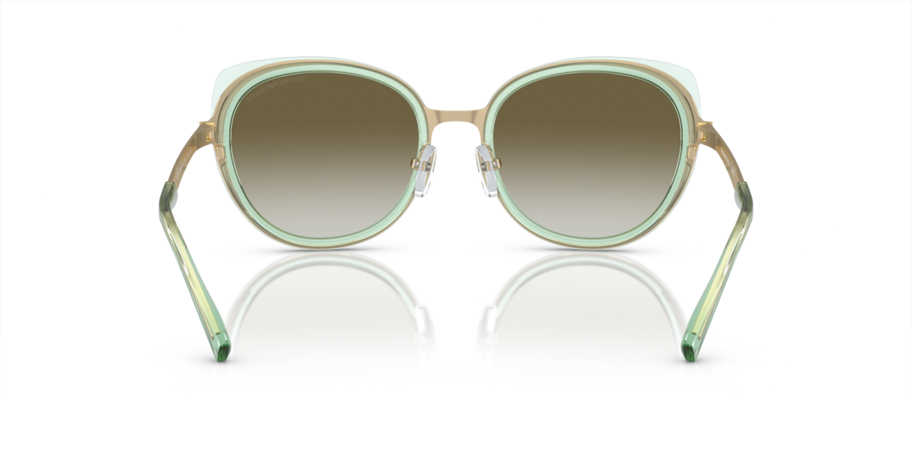 Emporio Armani EA2146 33638E