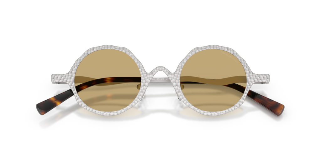 Emporio Armani EA2166 3015/2