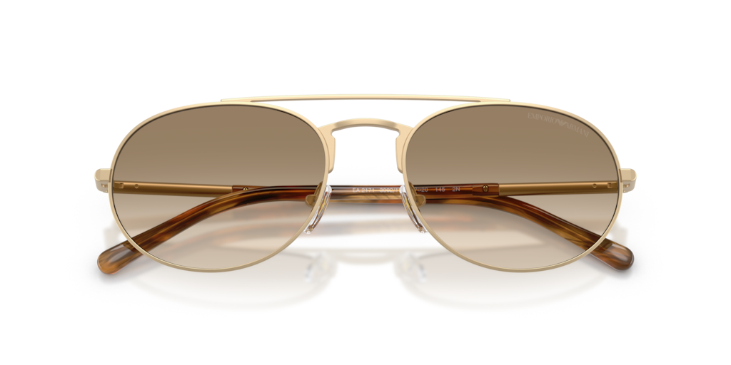 Emporio Armani EA2171 300213