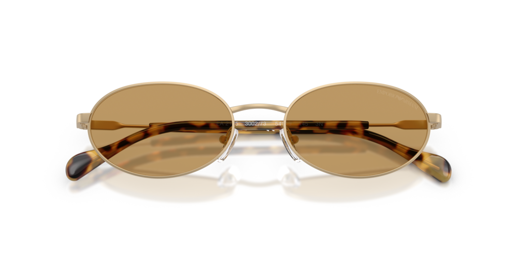 Emporio Armani EA2175 300273