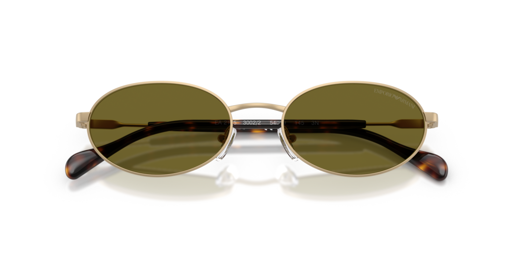 Emporio Armani EA2175 3002/2