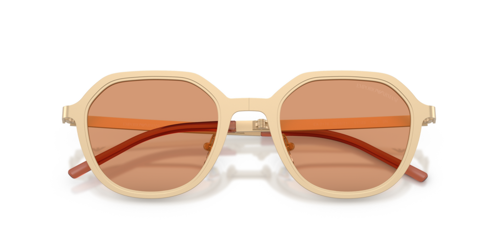 Emporio Armani EA2176 3002/7