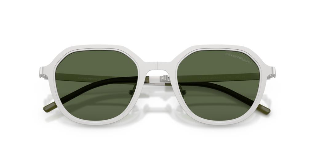 Emporio Armani EA2176 301571