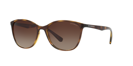 Emporio Armani EA4073