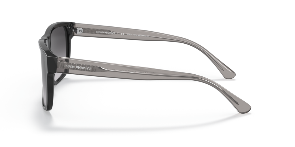 Emporio Armani EA4163 58758G 56 Güneş Gözlükleri