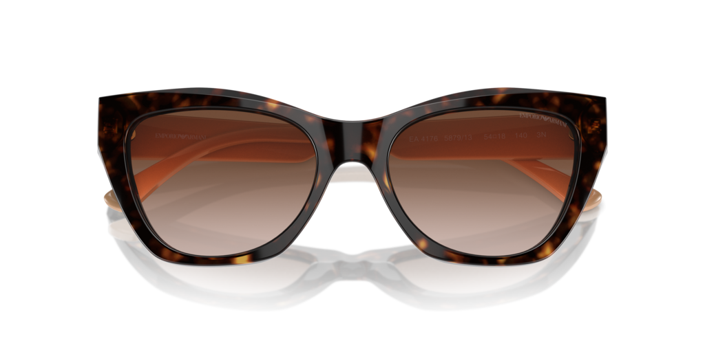 Emporio Armani EA4176 587913 54 Güneş Gözlükleri