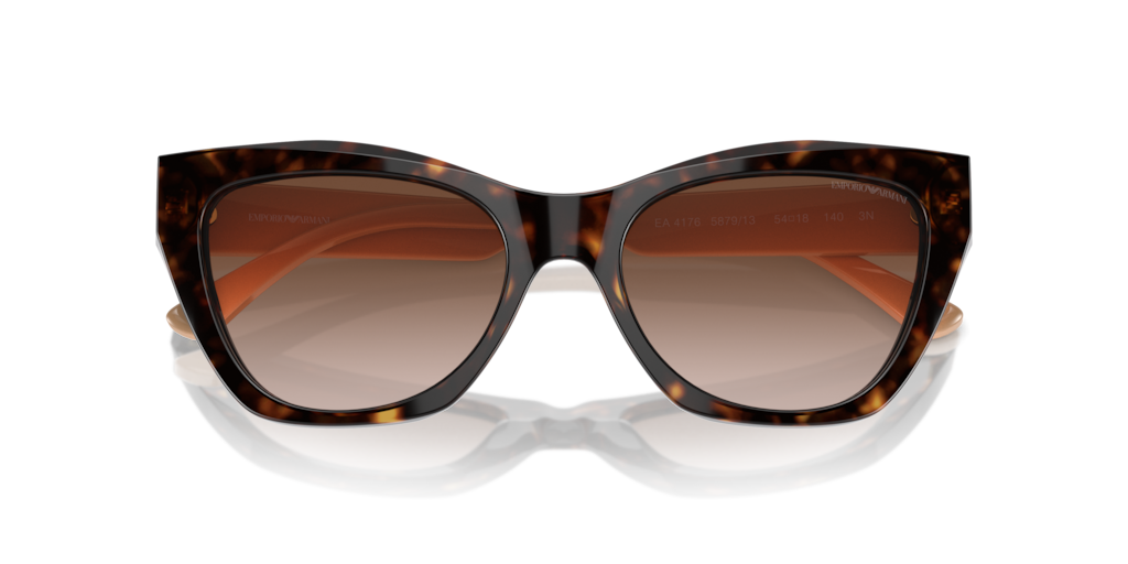 Emporio Armani EA4176 587913 54 Güneş Gözlükleri