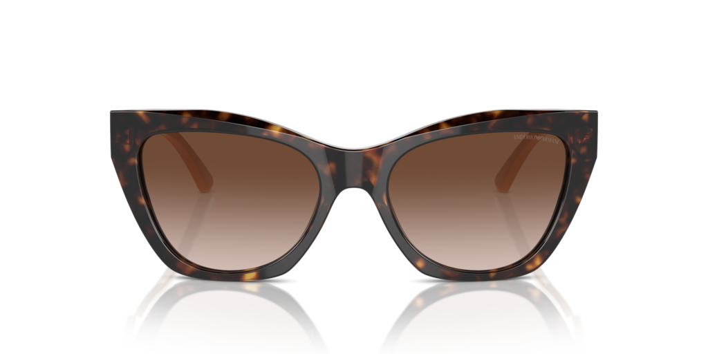 Emporio Armani EA4176 587913 54 Güneş Gözlükleri