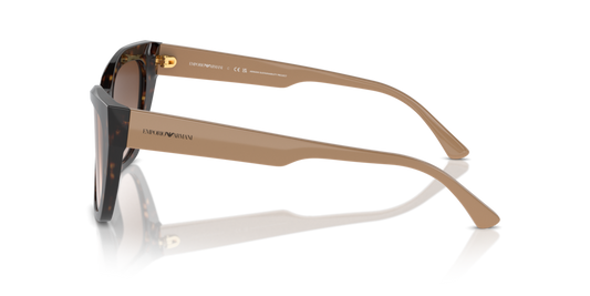 Emporio Armani EA4176 587913 54 Güneş Gözlükleri