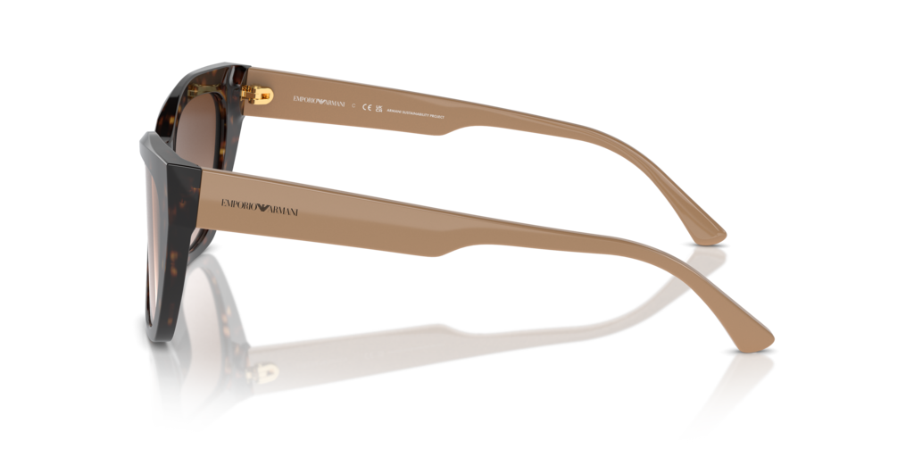 Emporio Armani EA4176 587913 54 Güneş Gözlükleri