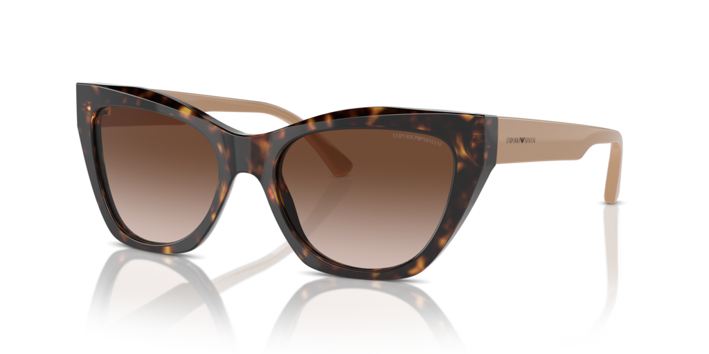 Emporio Armani EA4176 587913 54 Güneş Gözlükleri