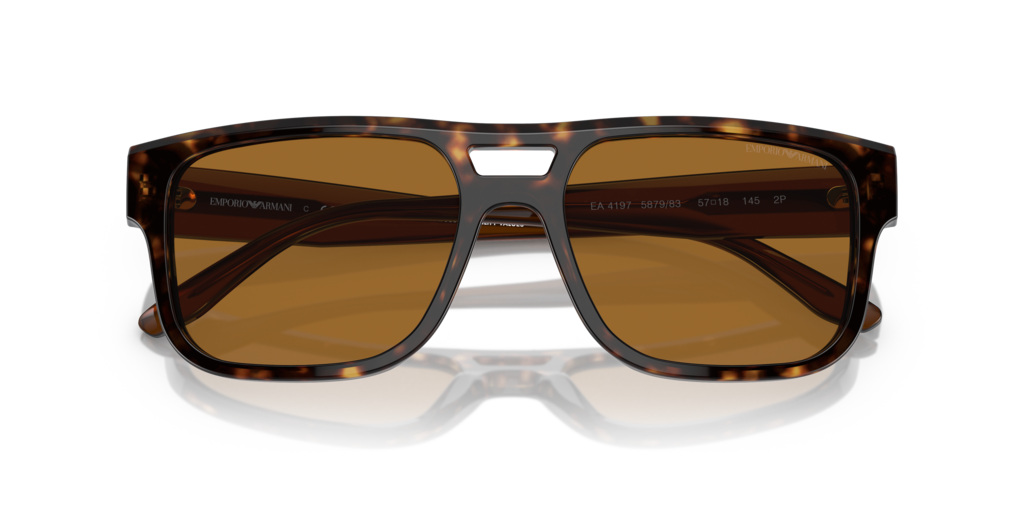 Emporio Armani EA4197 587983 57 Güneş Gözlükleri