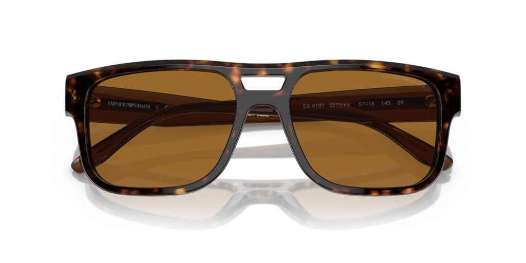 Emporio Armani EA4197 587983 57 Güneş Gözlükleri