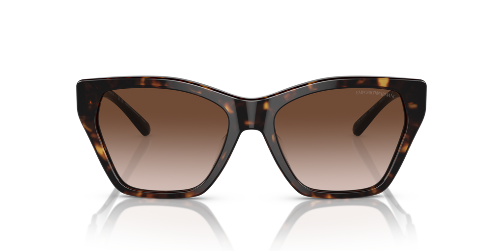 Emporio Armani EA4203U 502613 55 Güneş Gözlükleri