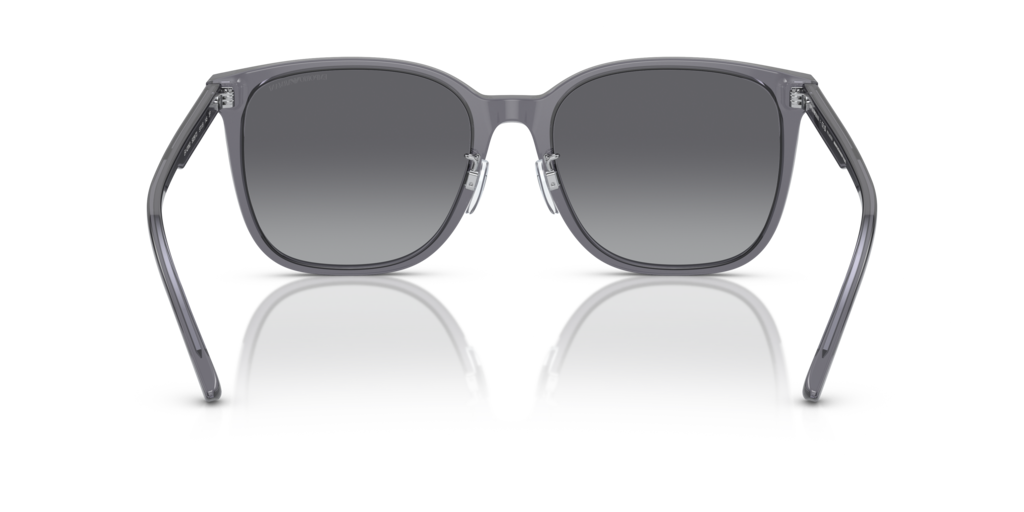 Emporio Armani EA4206D 5029T3 57 Güneş Gözlükleri