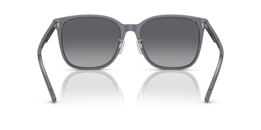 Emporio Armani EA4206D 5029T3 57 Güneş Gözlükleri