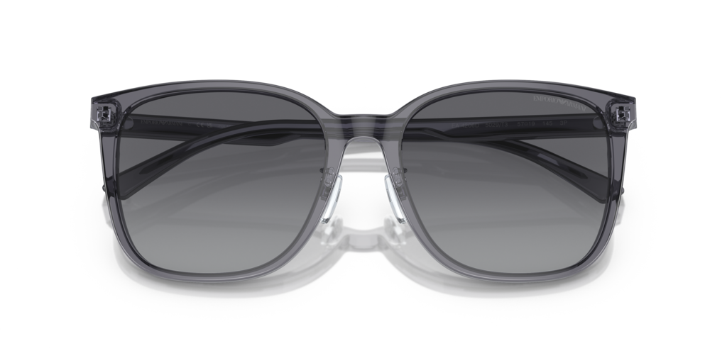 Emporio Armani EA4206D 5029T3