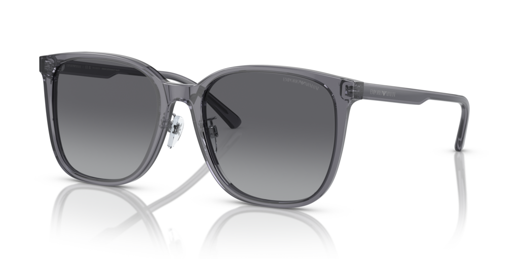 Emporio Armani EA4206D