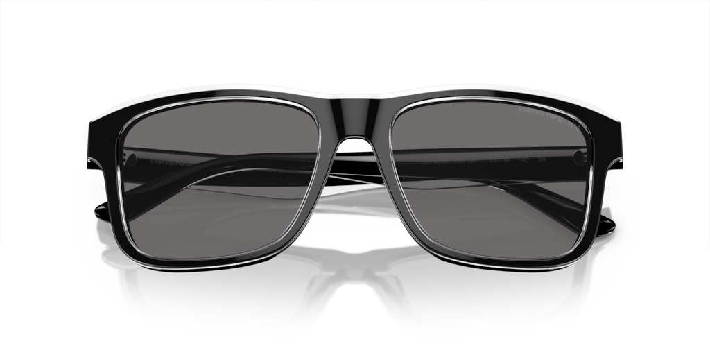 Emporio Armani EA4208 605187 56 Güneş Gözlükleri