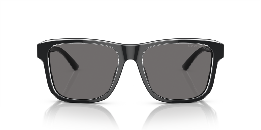 Emporio Armani EA4208 605187 56 Güneş Gözlükleri