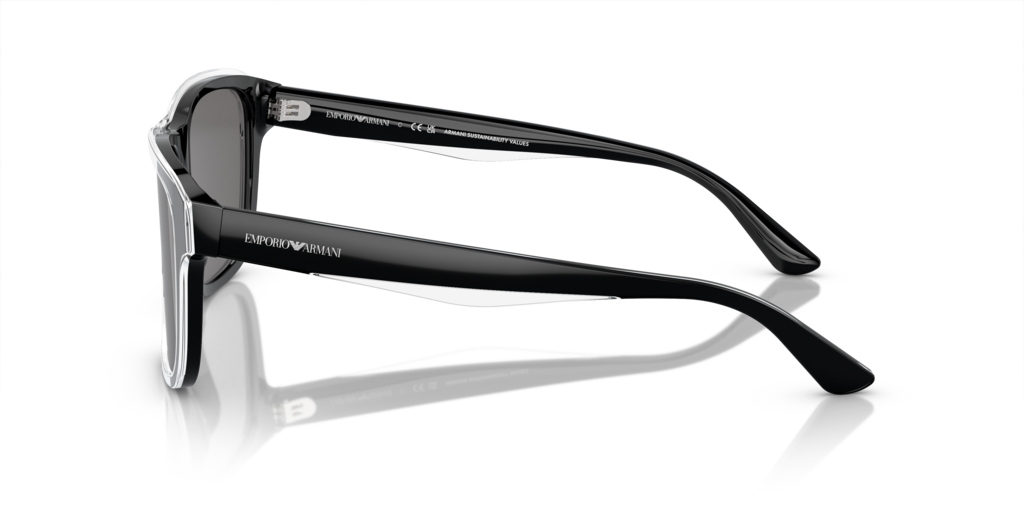 Emporio Armani EA4208 605187 56 Güneş Gözlükleri