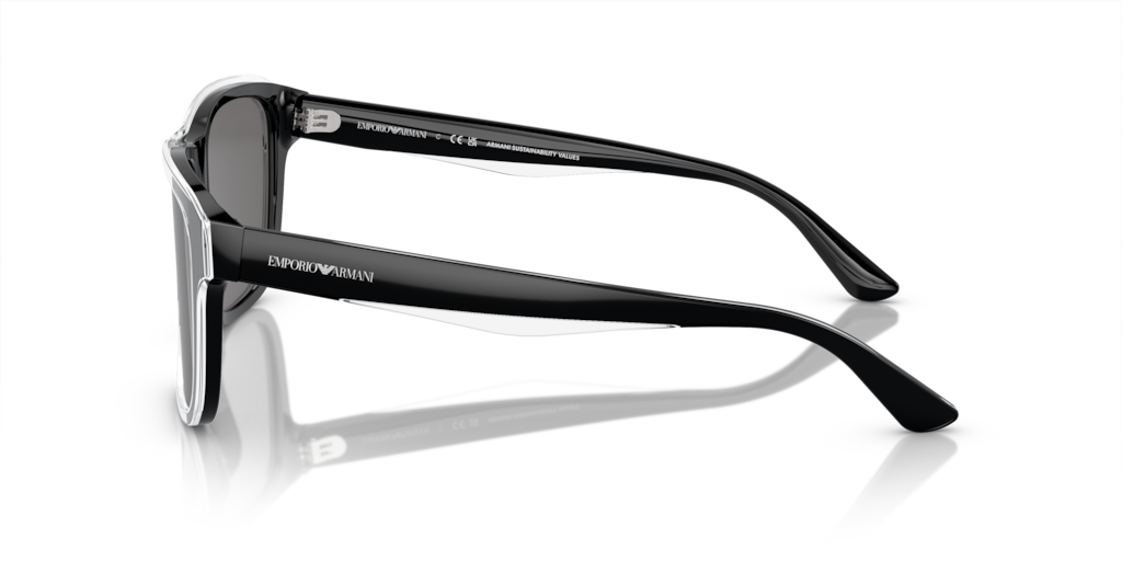 Emporio Armani EA4208 605187 56 Güneş Gözlükleri