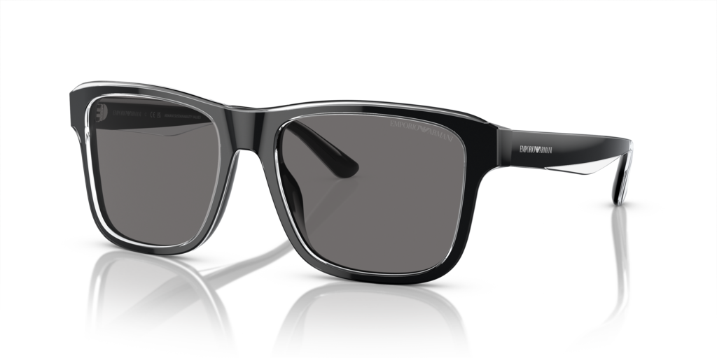 Emporio Armani EA4208 605187 56 Güneş Gözlükleri