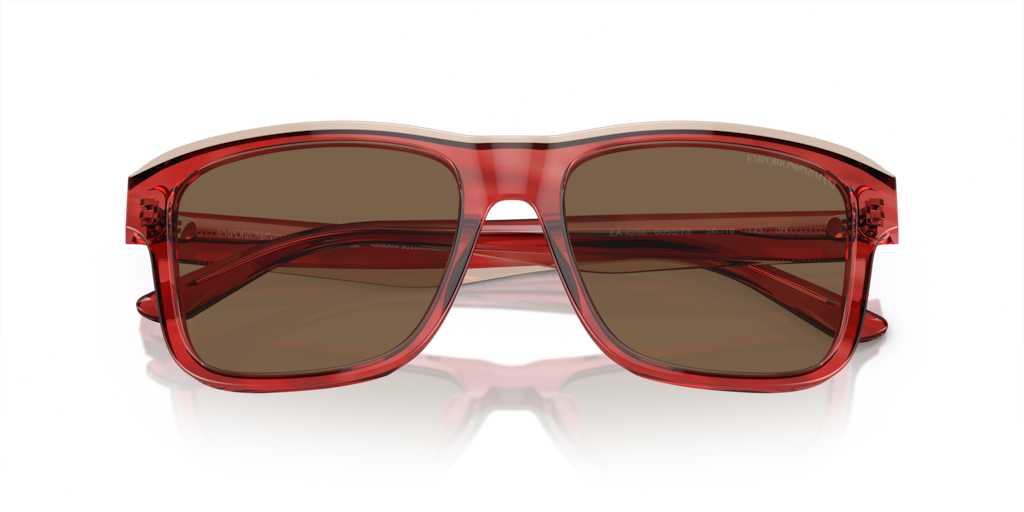 Emporio Armani EA4208 605373