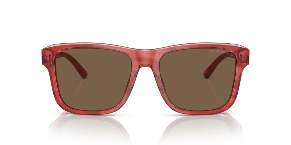 Emporio Armani EA4208 605373