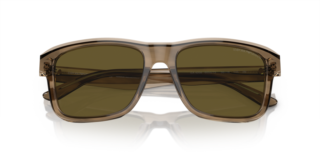 Emporio Armani EA4208 605573