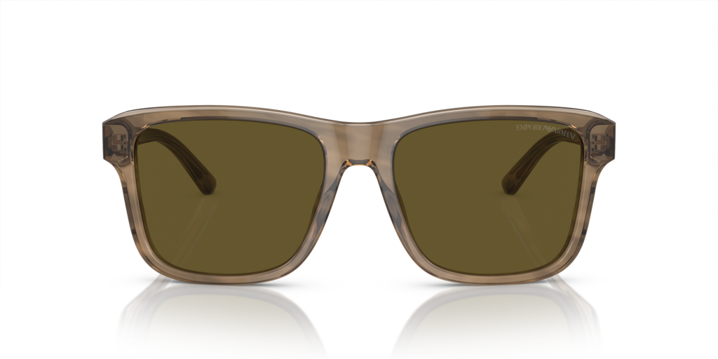 Emporio Armani EA4208 605573