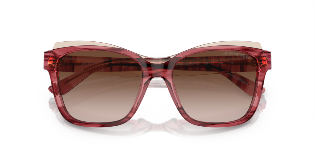 Emporio Armani EA4209 605713