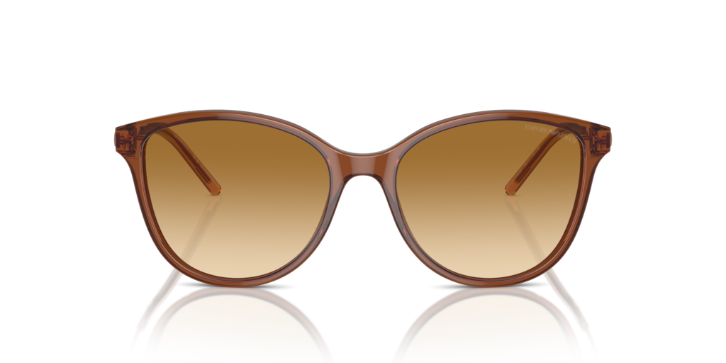 Emporio Armani EA4220 61103B 54 Güneş Gözlükleri